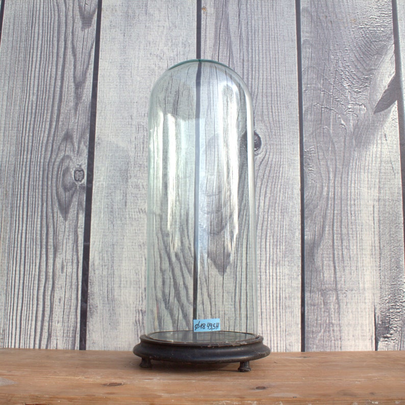 Exquisite Antique Round Glass Dome Bell Jar Victorian Era Time Period