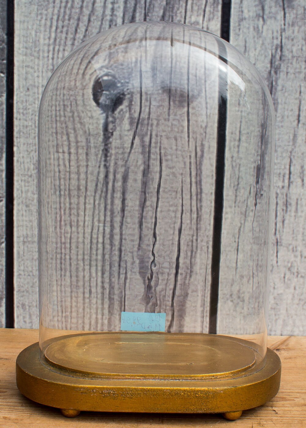 Vintage Oval Glass Cloche Dome Bell Jar Gilt Wooden Base 11.22 X 7.48 X