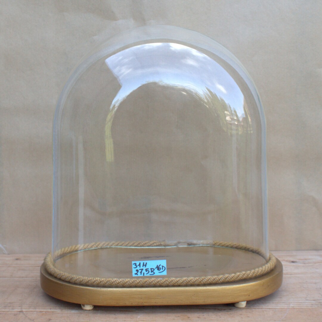 Vintage Oval Glass Cloche Dome Bell Jar Gilt Wooden Base 12.20 X 10.82