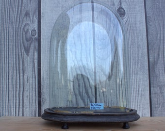 Antike ovale Glasglocke Kuppel viktorianisches Zeitalter schwarzer Holzfuß 39,5 x 24,5 x 12,5 einzigartiges sammlerstück hochzeitsgeschenk