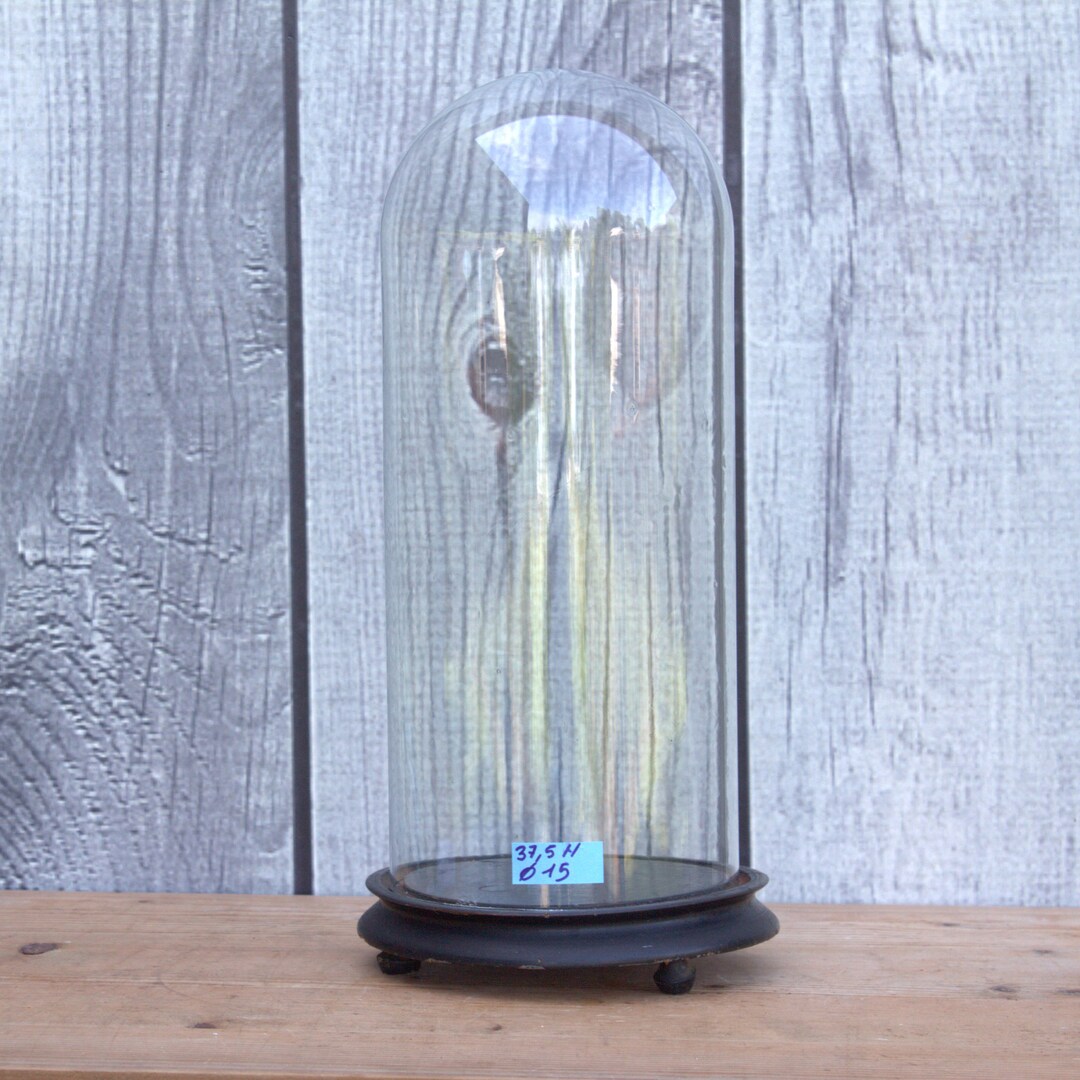 Antique Round Glass Dome Bell Jar Cloche Handblown With Wooden Base 14 ...