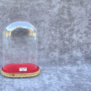 Peut inclure: Une cloche en verre transparent avec un dessus arrondi, posée sur une base en velours rouge. La base est ornée d'une bordure décorative dorée. Une petite étiquette blanche avec du texte noir est visible sur la base.