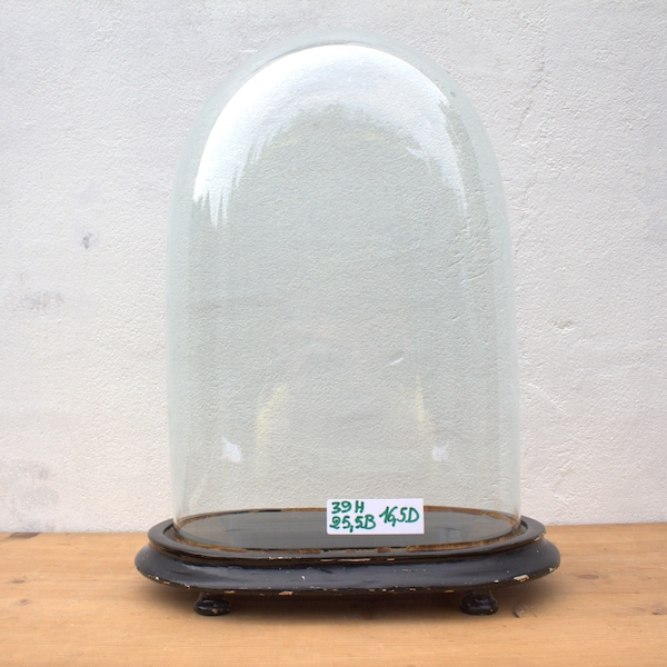 Glass Bell Jars Etsy