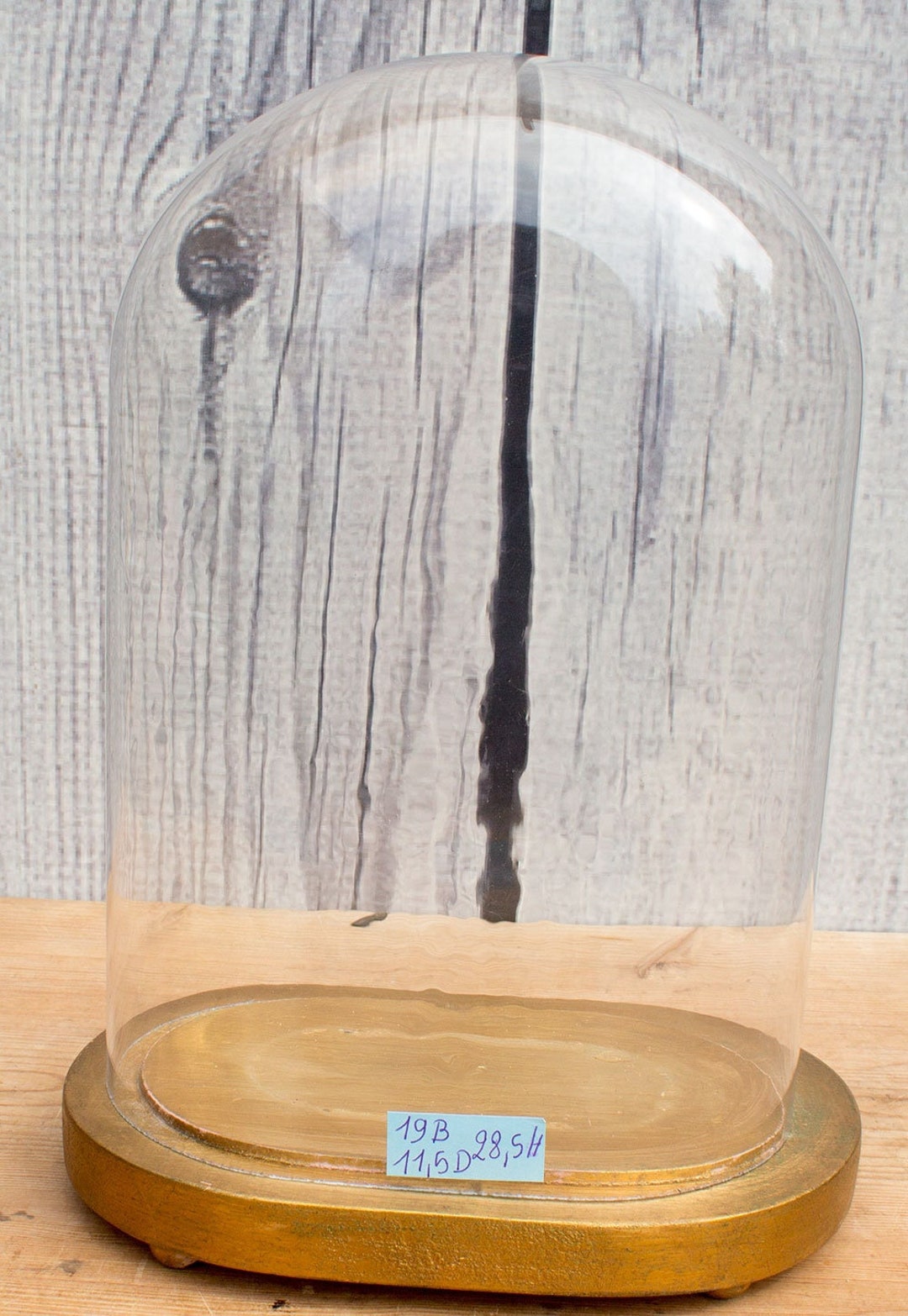 Vintage Oval Glass Cloche Dome Bell Jar Gilt Wooden Base 11.22 X 7.48 X