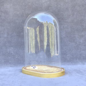 Puede incluir: Una campana de cristal transparente con la parte superior redondeada, colocada sobre una base ovalada dorada. La base tiene una textura tejida. La campana refleja el entorno. Una pequeña etiqueta blanca con texto es visible en la base.