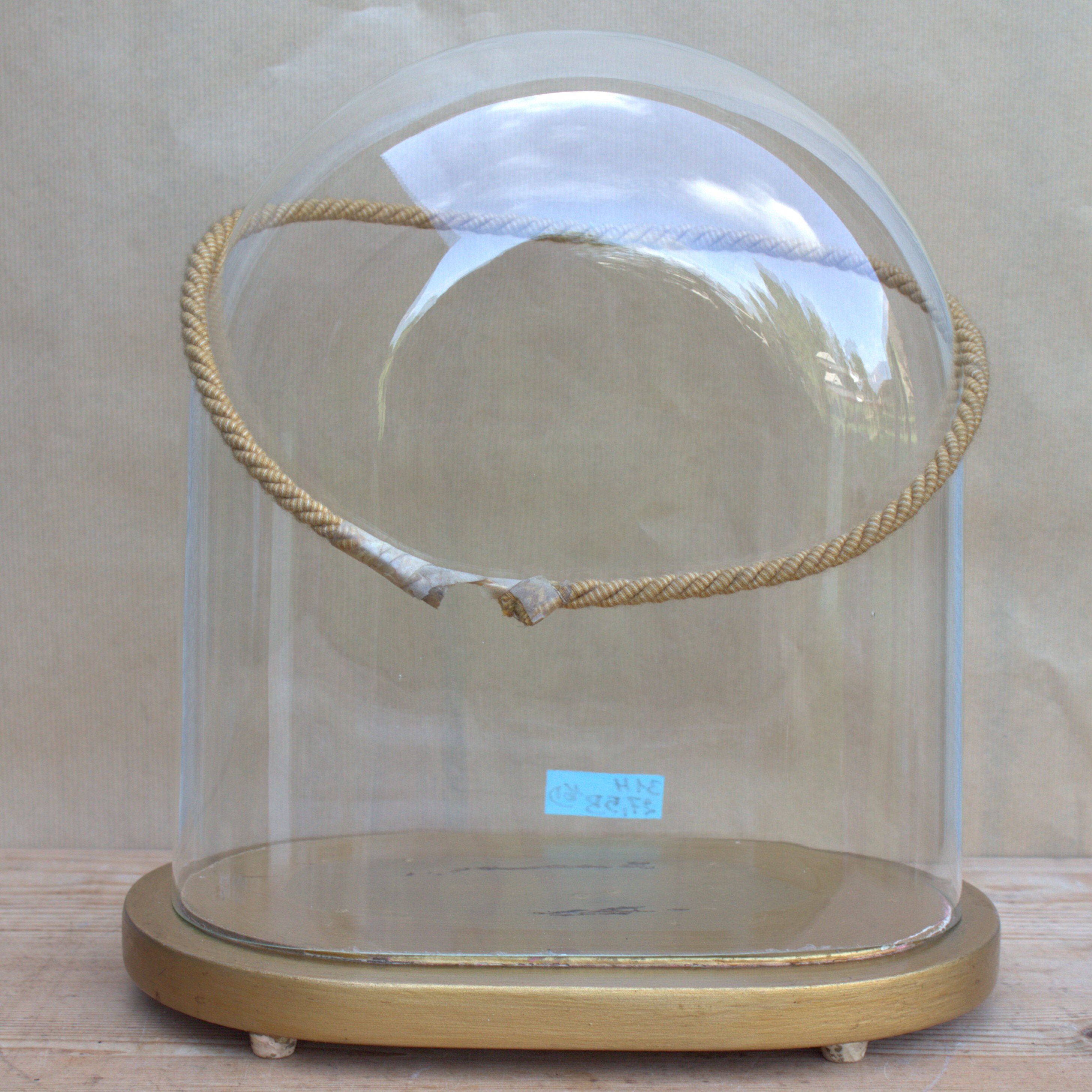 Vintage Oval Glass Cloche Dome Bell Jar Gilt Wooden Base 12.20 X 10.82