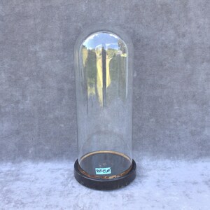 Antique french round glass dome 15.75 x 5.91" bell jar 40 x 15 cm hand blown Victorian era interior decoration gift display collectibles
