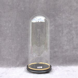 Op de afbeelding: Een heldere glazen stolp met een afgeronde bovenkant, geplaatst op een zwarte voet met een goudkleurige rand. De stolp is hoog en cilindrisch, ontworpen om items te tonen. De achtergrond is een gevlekt grijs.