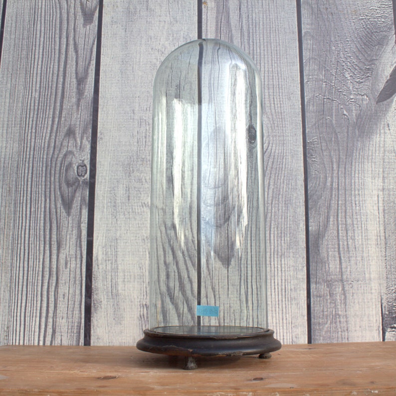 Exquisite Antique Round Glass Dome Bell Jar Victorian Era Time Period