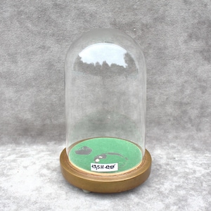 Peut inclure: Une cloche en verre transparent avec un dessus arrondi, posée sur une base en bois. À l'intérieur, une base en feutre vert affiche une petite scène sur le thème du golf. La base porte l'inscription "19.5H Ø".