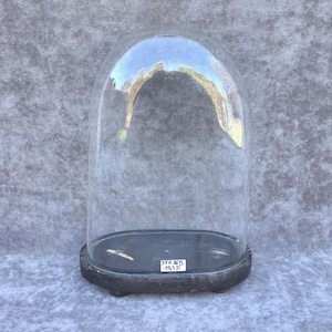 Puede incluir: Una cúpula de cristal transparente con la parte superior redondeada, apoyada sobre una base ovalada de madera negra con patas pequeñas. Una etiqueta rectangular blanca en la parte frontal de la base muestra el texto 37H 36B 15,5D, indicando medidas.
