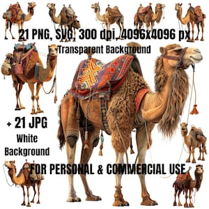 Camel Clipart Bundle | 21 Camel Clipart SVG PNG | Desert Clipart  | Camel Illustrations  | Digital Download | Commercial Use | Watercolor