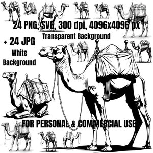 Camel Clipart Bundle | 24 Camel Clipart SVG PNG | Camel Black White  | Desert Black White | Digital Download | Commercial Use