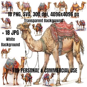 Camel Clipart Bundle | 18 Camel Clipart SVG PNG | Commercial Use | Desert Clipart  | Camel Art | Digital Download | Camel Cut Files