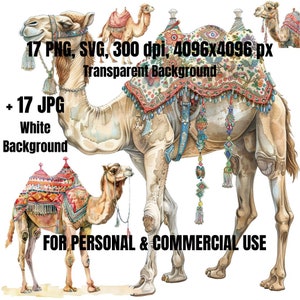 Camel Clipart Bundle | 17 Camel Clipart SVG PNG | Commercial Use | Camel Illustrations | Camel Art | Digital Download | Scrapbooking