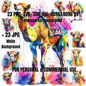 Camel Clipart Bundle | 21 Camel Clipart SVG PNG | Camel Transparent | Desert Clipart | Digital Download | Commercial Use | Watercolor Camel