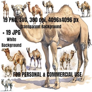 Camel Clipart Bundle | 19 Camel Clipart SVG PNG | Commercial Use | Desert Animals png | Clipart Pack | Digital Download | Camel Watercolor