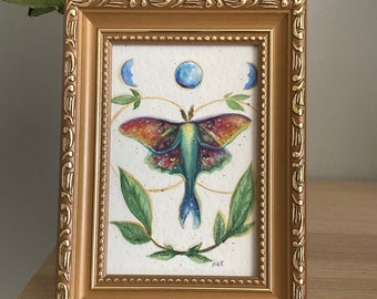 Luna Moth Painting, Original Watercolor Painting, Framed Moth Art, Lunar Moth, Entomology Art, Nature Home Decor, Small Gold Framed Artwork