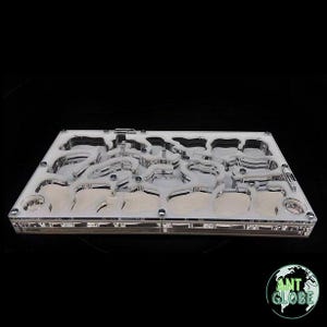 Acryl mierennest: groot formicarium voor groeiende mierenkolonies