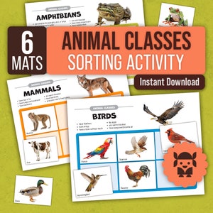 Animal Classification Sorting Activity Mats and Cards with Real Photos, Toddler Preschool Printable Material