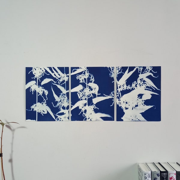 Cyanotype - Triptyque Mauvaises Herbes