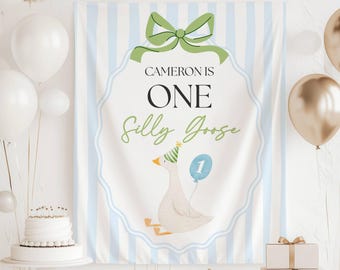 Silly Goose 1st Birthday Banner One Silly Decor First Birthday Party Backdrop Personalized