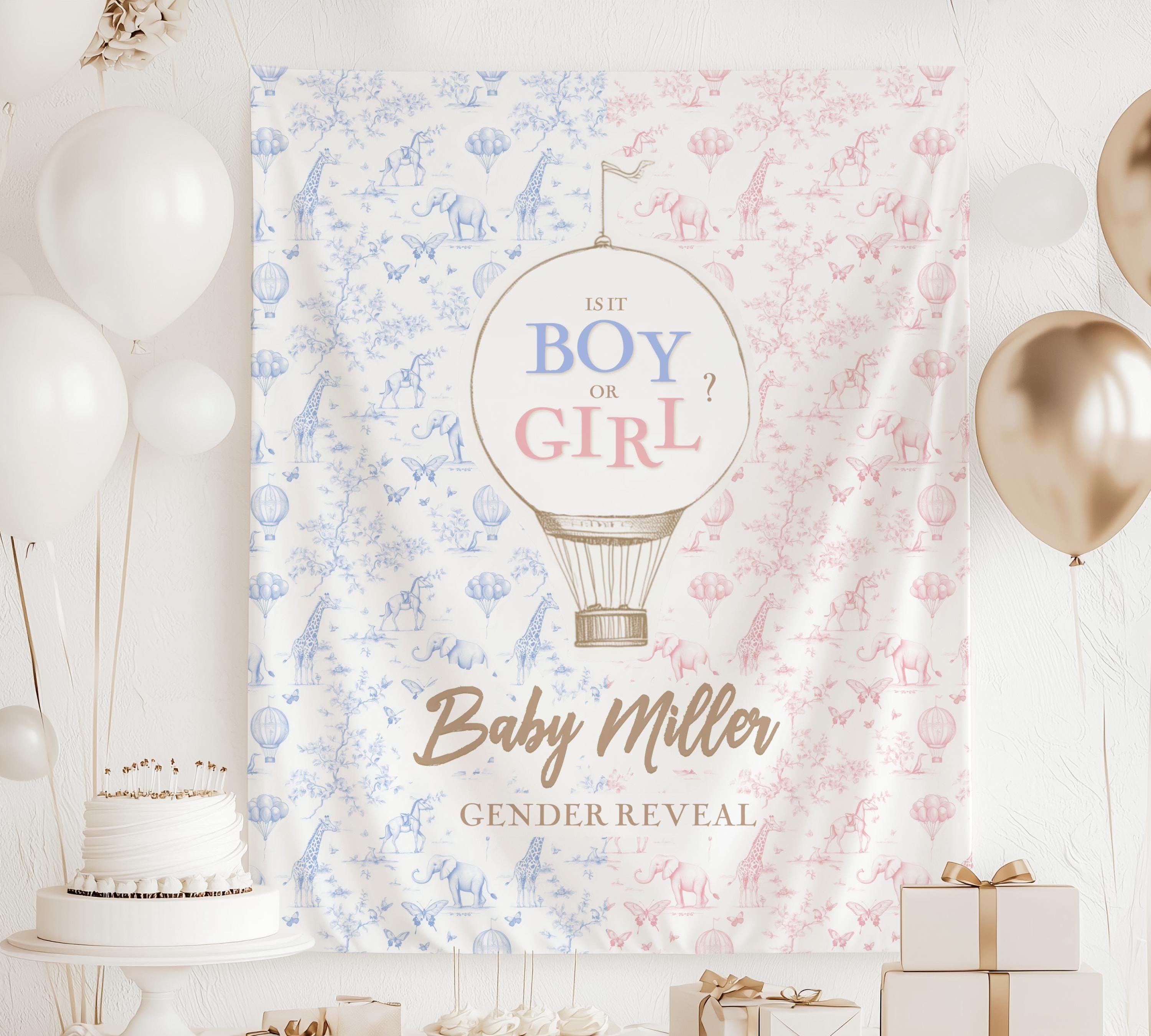 Boy or Girl Backdrop Custom Blue Pink Gender Reveal Tapestry Pastel Gender Reveal Backdrop Personalized Baby Shower Backdrop Hot Air Balloon