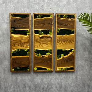 Handgemachte 3-teilige Moos & Holz Wandkunst | Natürlicher Walnussrahmen, Silberbeerholz, rustikales und modernes Wohndekor, konserviertes Moos Wanddekor.