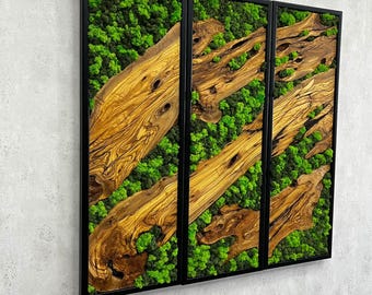 Handmade Moss & Olive Wood Wall Art - Biophilic Decor, Set of 3