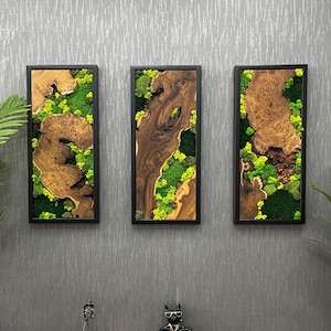 Handgemachte 3-teilige Moos-Wandbild aus Olivenholz und Silberbeere mit schwarzem Rahmen