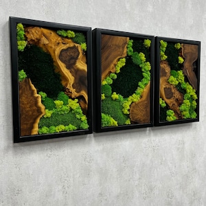 Handgemachte 3-teilige Moos-Wandbild aus Olivenholz und Silberbeere mit schwarzem Rahmen
