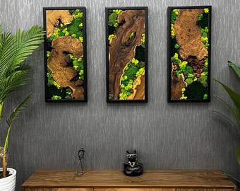 Handcrafted Moss Wall Art Set, Olive Wood Black Frame, Modern Rustic Decor