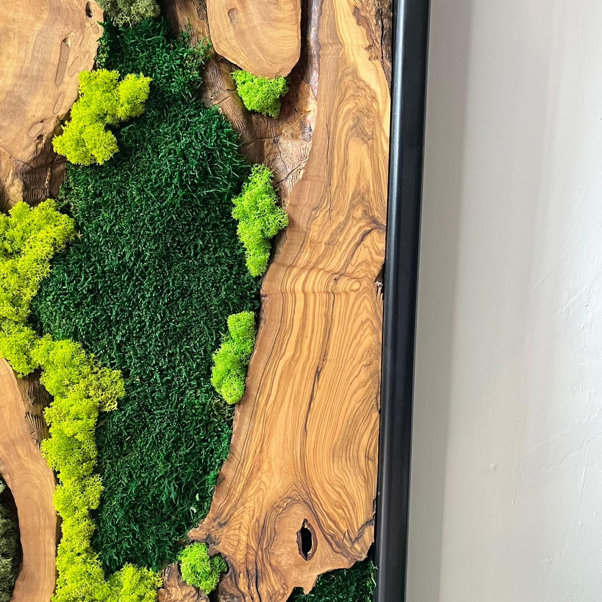 Handcrafted Live Edge Olive Wood Wall Art With Preserved Moss, Rustic