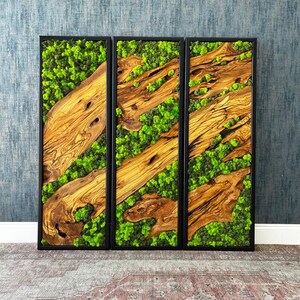 Puede incluir: Tres paneles de arte mural rectangulares con marcos negros. Cada uno presenta una combinación de madera texturizada de color marrón claro y musgo verde vibrante. Las piezas de madera tienen patrones y formas de vetas únicos, creando una estética natural y orgánica.