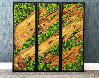 Handmade Moss & Olive Wood Wall Art - Biophilic Decor, Set of 3