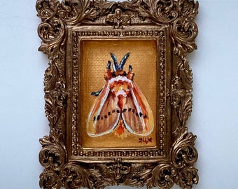 Moth Painting Original Tiny Oil Painting Framed Gold Frame Butterfly Art Insect Wall Art Moth Artwork Moth Illustration Small Entomology Art