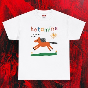 Funny Shirt, Ketamine Horse Tshirt, Cute Meme T Shirt, Ketamine Graphic Tee, EDM Festival Outfit, Oversized Washed Tee, BFF Gifts