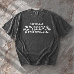 May include: A charcoal grey short-sleeve t-shirt with a vintage-washed finish. The center of the chest features white text that reads: OBVIOUSLY, MY MOTHER SMOKED, DRANK & DROPPED ACID DURING PREGNANCY. The shirt has a crew neckline and a standard fit.