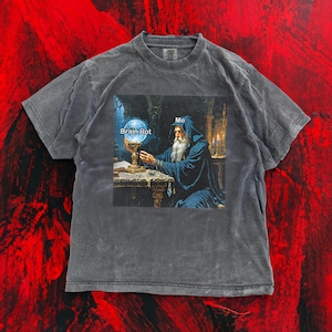 May include: Dark gray t-shirt featuring a meme of a wizard gazing into a crystal ball, with the text "Brain Rot" and "Me". The wizard is dressed in a blue robe. The shirt has a vintage, washed look.