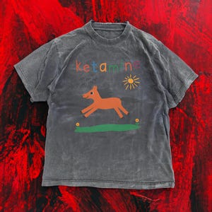 Grappig shirt, ketamine-paardenshirt, schattig meme-T-shirt, ketamine-graphic T-shirt, EDM-festivaloutfit, oversized gewassen T-shirt, BFF-cadeaus Vintage distressed