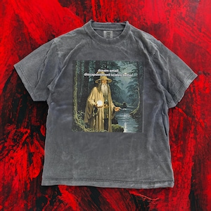 May include: Dark gray t-shirt featuring a graphic of a wizard holding a glowing orb in a forest scene. The text "dream small, disappointment scales better" is above the image. The shirt has a vintage, washed look.