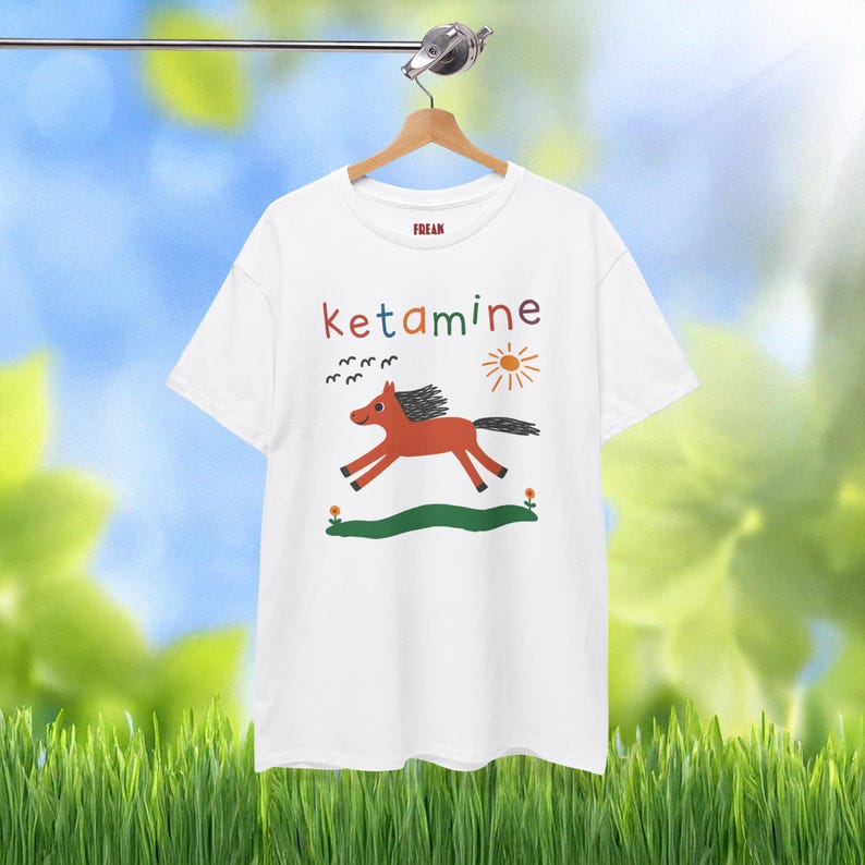 Grappig shirt, ketamine-paardenshirt, schattig meme-T-shirt, ketamine-graphic T-shirt, EDM-festivaloutfit, oversized gewassen T-shirt, BFF-cadeaus afbeelding 2