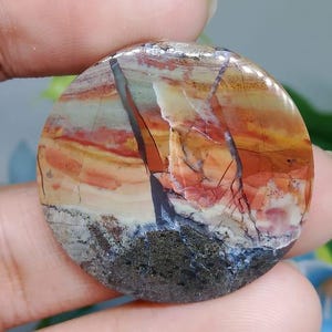 Opalized petrified wood