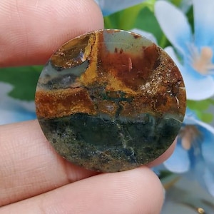 Opalized petrified wood