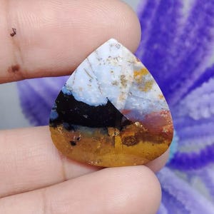 Opalized petrified wood