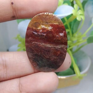 Opalized petrified wood