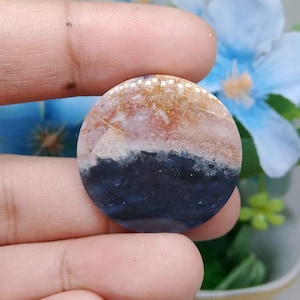 Opalized petrified wood