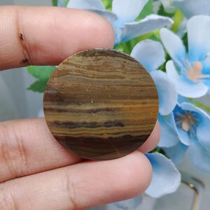Opalized petrified wood
