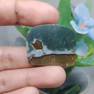 Opalized petrified wood