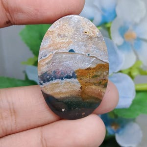 Opalized petrified wood